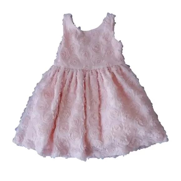 open lace back dress Size 12-18 Months Pink Janie & Jack 2pc Dress